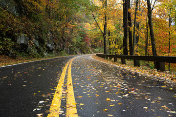 road in autumn