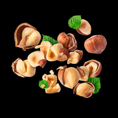 Hazelnuts crushed into pieces, frozen in the air.