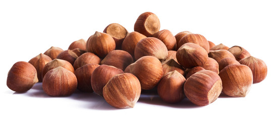 A lot of Fresh raw hazelnuts, close-up image