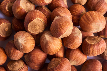 A lot of Fresh raw hazelnuts