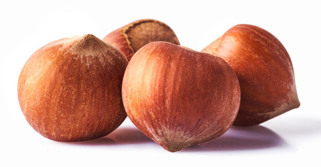 A lot of Fresh raw hazelnuts, close-up image