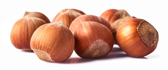 A lot of Fresh raw hazelnuts, close-up image