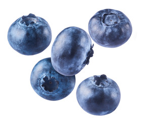 Fresh raw blueberries falling in the air.