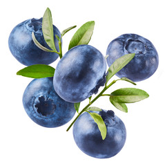 Fresh raw blueberries falling in the air.