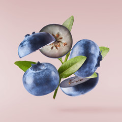 Fresh raw blueberries falling in the air.