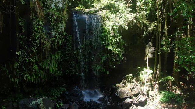 Approaching Curtis Falls, Mt Tamborine, rain forest creek, summers day Queensland Australia .