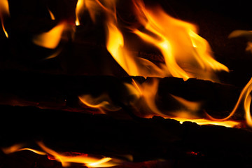 Interesting forms of flames in a bonfire. Burning wood 