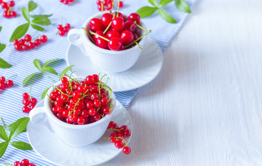fresh cherries and red currants in white cups on the table close-up. background with cherry and red currant berries.