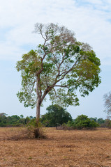 Obraz premium 2019_october_brazil_trip