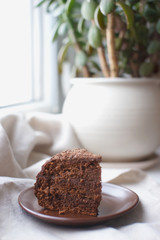 Basque beret chocolate cake cooked at home