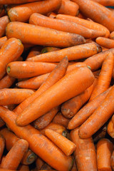 fresh carrots on the market