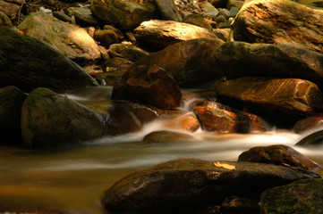 river rocks and light #5