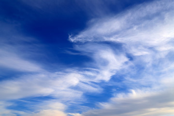Beautiful picturesque unusual white feather clouds in the blue sky, magic background. fantastic white clouds. Landscape background, climate change, global warming