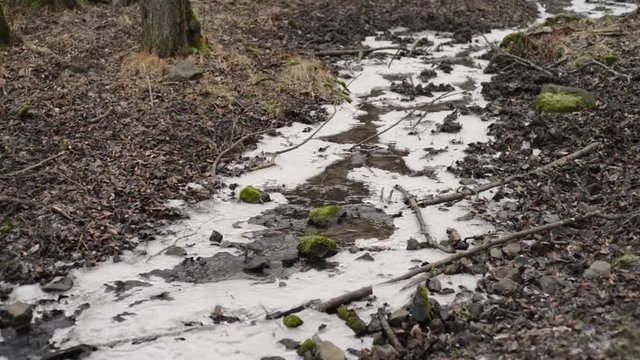 Frozen forest stream brook in winter