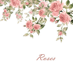  Floral background with rose buds and leaves