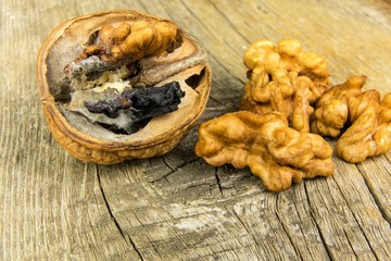 Moldy walnut on wooden table. Unhealthy food. Food mold. Poisonous mold. Storage of nuts.