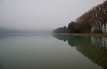Paisaje desvaneciéndose en la niebla