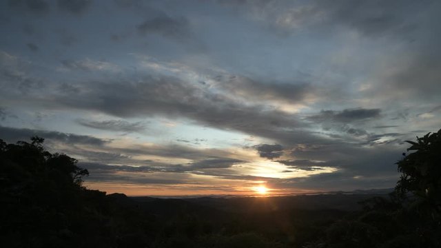 Trees Silhouettes and Cloudy Sky at Sunrise in Brazil