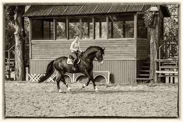 Athlete riding on a dark horse, which moves at a gallop against the back of the judging house