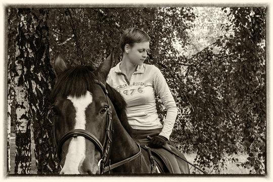 Sportswoman riding a horse with white markings close-up, against a background of birch branches