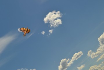 kite in the blue sky