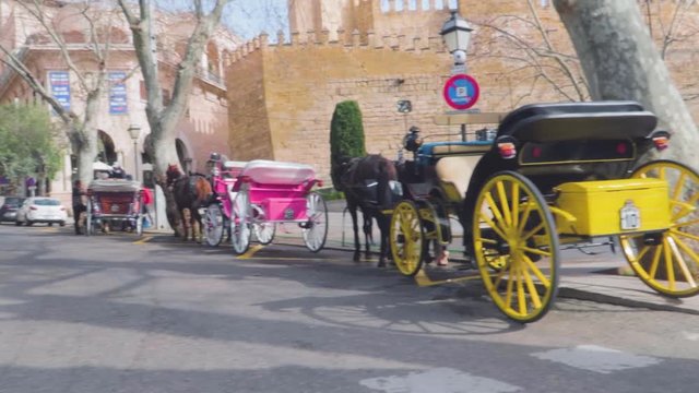A view of couple of empty horse carriages parked at the outside of the Catholic architecture art at the Palma Cathedral Roman Catholic Diocese of Majorca, Spain.