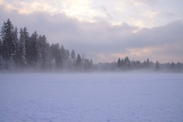 Schneegestöber