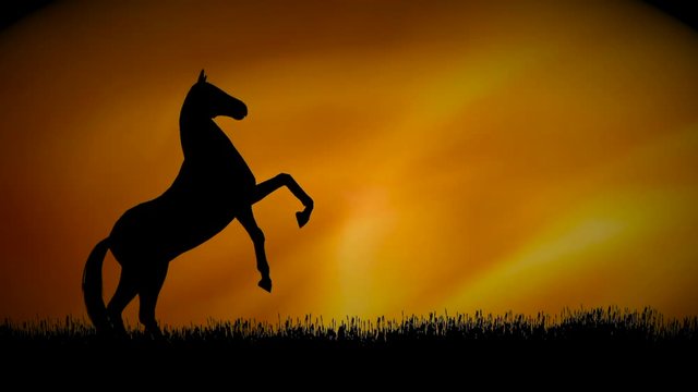 Horse pesade silhouette against a sundown sky
