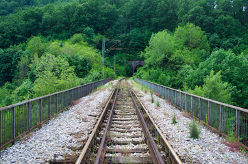 Railroad Bridge in Nature