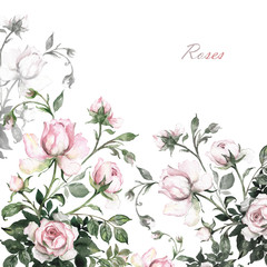  Watercolor background branch delicate roses