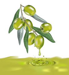 Olive oil with olive branch. Realistic 3d fruits of olives. Drop of olive oil splash.