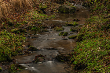Naklejka na ściany i meble Zvikovsky creek with green grass and stones near Velesin town in south Bohemia
