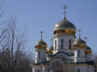 The top of the temple. Saint-Petersburg, Russia.