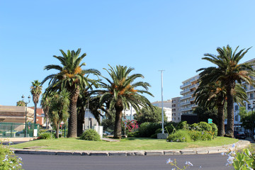 Fototapeta na wymiar Rond Point à Bastia / Corse