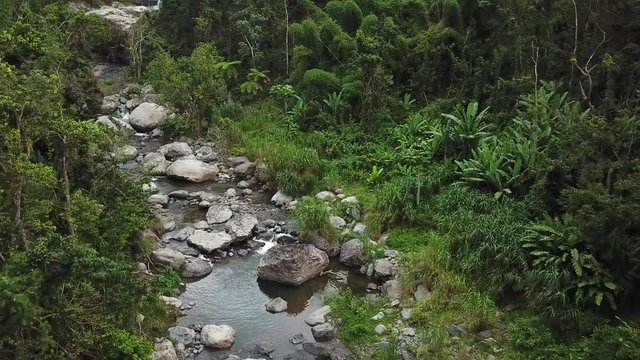 Tropical Rainforest and Fresh Creek Water Under Waterfall in Inland of Puerto Rico Island. Aerial View of Las Garzas, Adjuntas