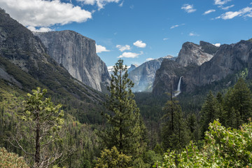 Fototapeta premium Yosemite-Nationalpark