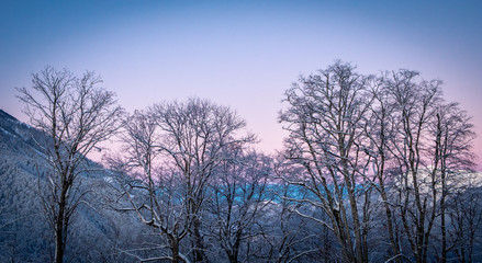 Obraz na płótnie Canvas Winter Mountain landscape at the Rosa Khutor ski resort in Sochi, Russia. Silhouettes of trees against a beautiful morning sky in a frosty morning