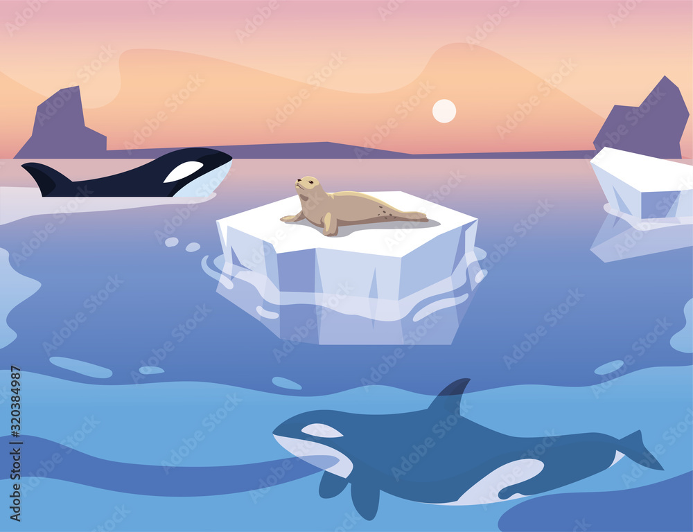 Wall mural killer whale whit iceberg floating in in the sea