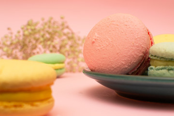 bright multi-colored macaroons or macaron on a colored plate, on a pink background close-up, there is a place for copy