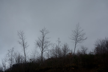 Italia : Paesaggio montano invernale, Gennaio 2020.