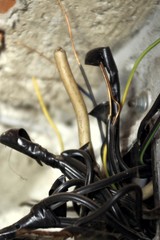 dangerous electrical power installations wires. hazard cables coming out from a wall