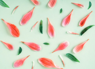 seamless pattern with red  petals