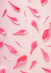 background with pink rose petals