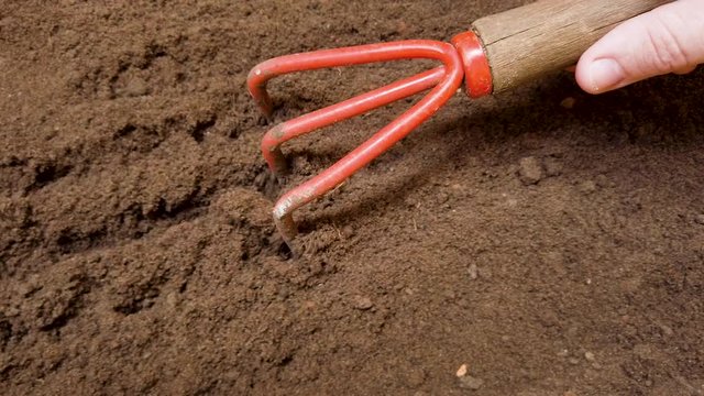Raking land and cottage garden to be able to plant.