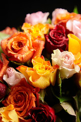 Bouquet of different color roses with water drops on petals on a black background. Red, orange and pink flowers. Romantic Valentine's Day Gift