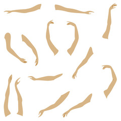 Women s hands. Beautiful graceful silhouettes. Collection. Vector illustration of a set.