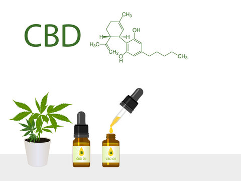 Marijuana, cannabis plant in pot with CBD product  oil