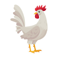 Cock of animal vector icon.Cartoon vector icon isolated on white background cock of animal.