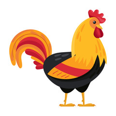 Cock of animal vector icon.Cartoon vector icon isolated on white background cock of animal.