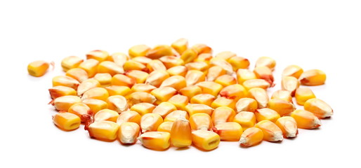 Pile corn kernels isolated on white background